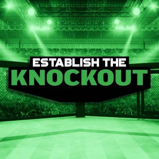 Establish The Knockout: UFC 300